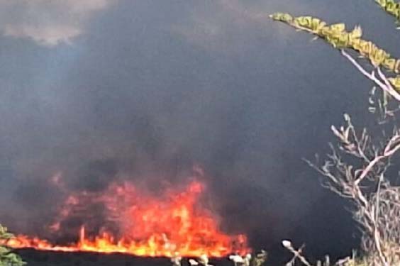 Incêndio de aproximadamente 10 km de extensão assola a Comunidade Quilombo do Ginete, localizada em Barra da Estiva Fonte e Imagens: Informe Barra/Jornal da Chapada.