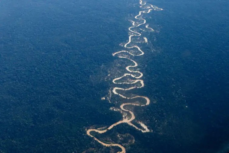 Áreas de garimpo ilegal na Terra Indígena Yanomami vistas em sobrevoo ao longo do rio Mucajaí. Foto: Fernando Frazão/Agência Brasil