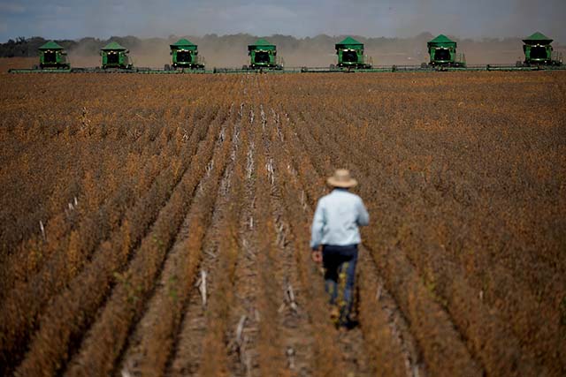 Economia brasileira cresce 2,9% em 2023 Alta foi puxada por recorde de 15,1% do setor agropecuário.  Imagem: Marcelo Casal Jr/ Agência Brasil/Ueslei Marcelino/Reuters e Raylton Alves.