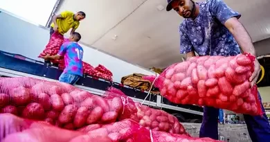 Queda do preço da batata e alta da cebola e tomate aponta CONAB Imagens Crédito: © Rafa Neddermeyer/Agência Brasil.