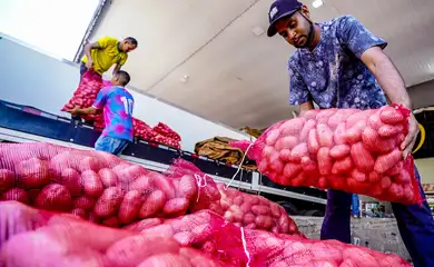 Queda do preço da batata e alta da cebola e tomate aponta CONAB Imagens Crédito: © Rafa Neddermeyer/Agência Brasil.