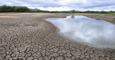 Devido à seca, Pernambuco decreta situação de emergência; 117 cidades das 185 do estado estão afetadas Foto: Diário de Pernambuco/arquivo/reprodução.