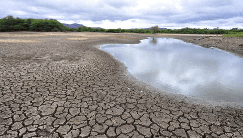 Devido à seca, Pernambuco decreta situação de emergência; 117 cidades das 185 do estado estão afetadas Foto: Diário de Pernambuco/arquivo/reprodução.