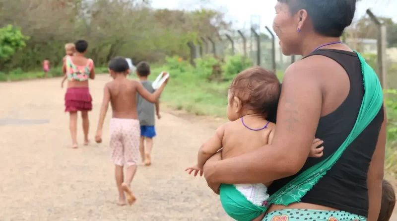 Mortalidade por câncer é maior entre crianças indígenas, diz estudo Foto: © Rovena Rosa/Agência Brasil.