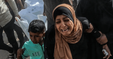 Nenhuma Catástrofe parece acordar o mundo. Artigo de Ivone Gebara Foto: Anadolu Agency