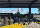 SSP-BA contabiliza prisão de 37 membros de facções e meia tonelada de drogas apreendida em 1ª fase da Lockdown