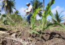 Acajutiba: Agricultores satisfeitos e futuro promissor no desenvolvimento rural