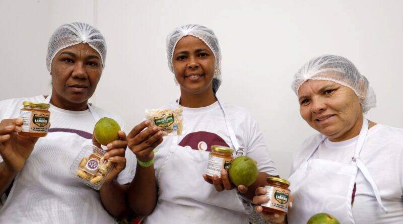 RIO REAL: GOVERNO ENTREGA UNIDADE DE BENEFICIAMENTO DA CITRICULTURA E FORTALECE EXPORTAÇÃO DE LARANJA ORGÂNICA Foto: Amanda Ercília/GOVBA, 