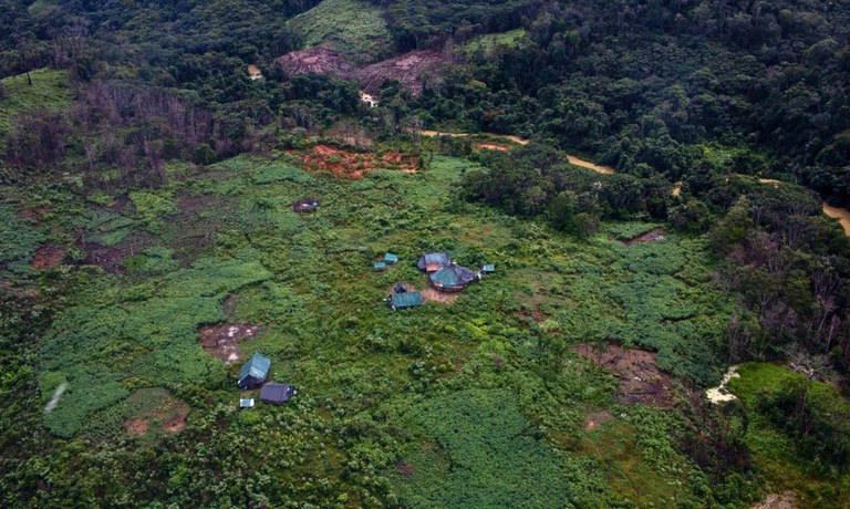 Vista aérea de uma área de roça na Terra Indígena Yanomami, no norte do Brasil.