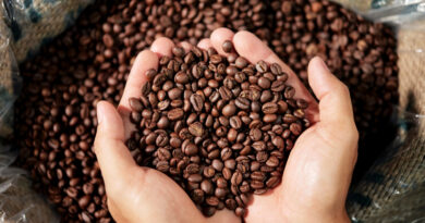 CAFÉ BAIANO SE CONSOLIDA COMO POTÊNCIA NACIONAL E LIDERA PRODUÇÃO NO NORDESTE