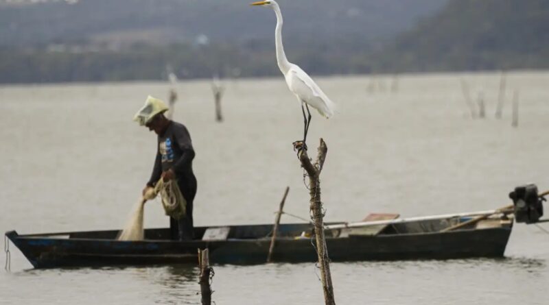 SEGURO-DEFESO: NOVAS REGRAS GARANTEM PAGAMENTO E COMBATE ÀS FRAUDES