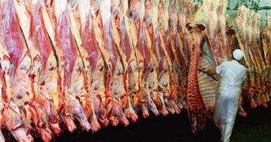 UNIÃO EUROPEIA VETA COMPRA DE CARNE BRASILEIRA A PARTIR DE SETEMBRO