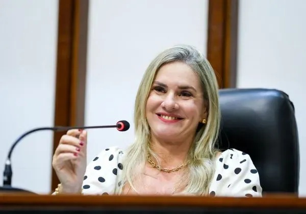 IVANA BASTOS INSTITUI PROGRAMA DE PROTEÇÃO DE DADOS; CÂMARAS MUNICIPAIS PODERÃO ADERIR 
